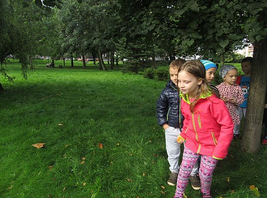 Wycieczka do parku gr IV