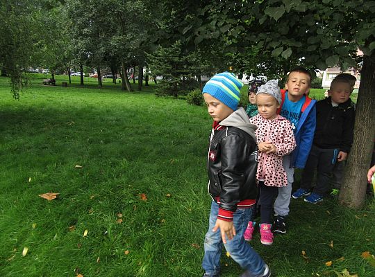 Wycieczka do parku gr IV