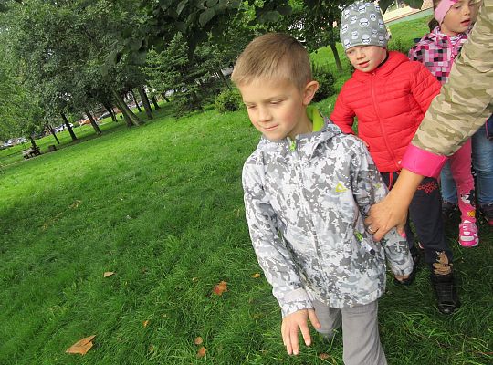 Wycieczka do parku gr IV