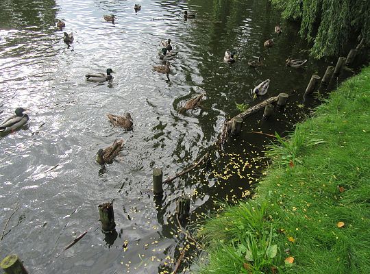 Wycieczka do parku gr IV