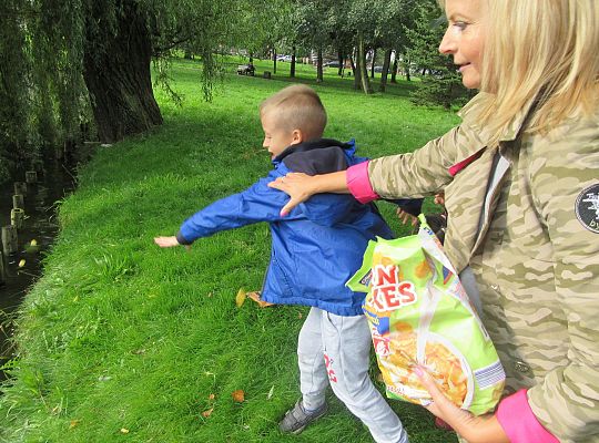 Wycieczka do parku gr IV