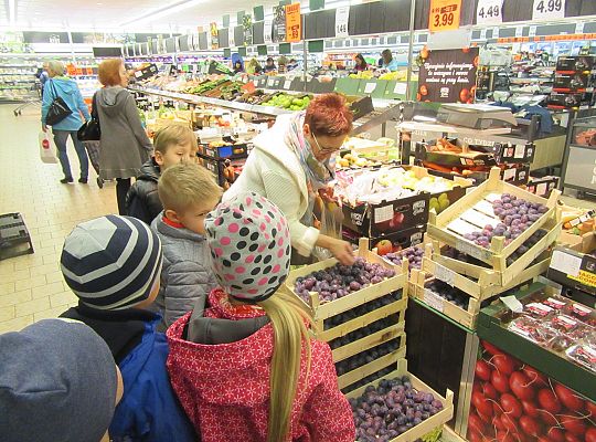 Wycieczka do sklepu gr IV