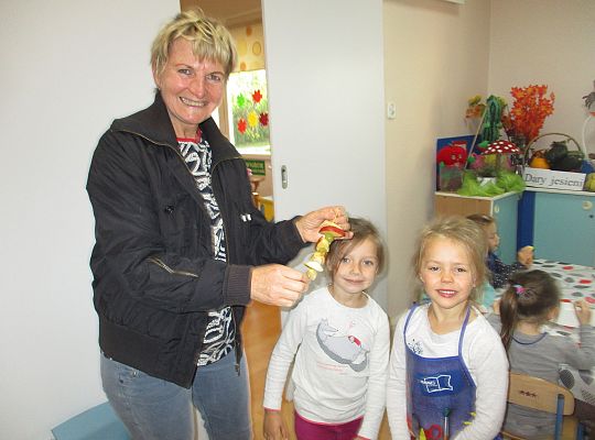 Szaszłyki owocowe to samo zdrowie