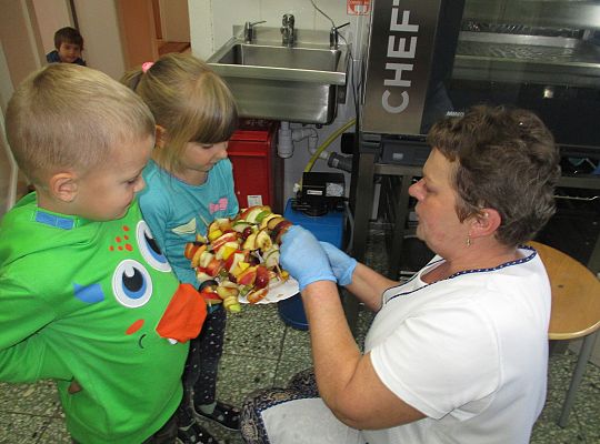 Szaszłyki owocowe to samo zdrowie