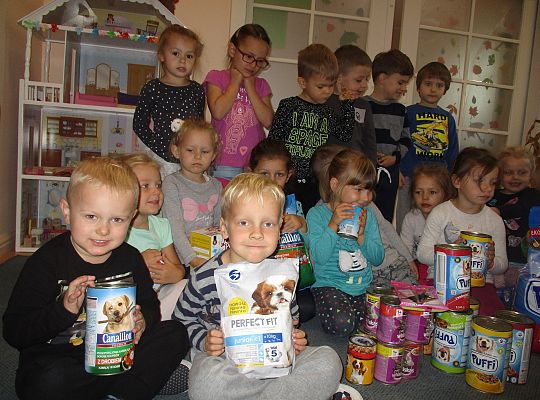 Wycieczka do schroniska dla zwierząt w Małoszycach