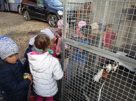 Wycieczka do schroniska dla zwierząt w Małoszycach