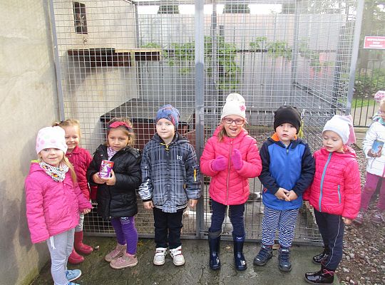 Wycieczka do schroniska dla zwierząt w Małoszycach