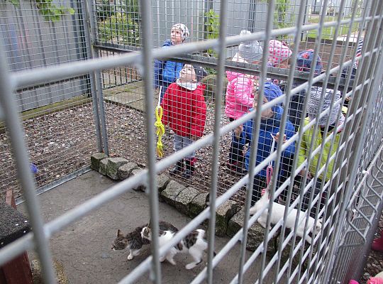 Wycieczka do schroniska dla zwierząt w Małoszycach