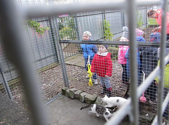 Wycieczka do schroniska dla zwierząt w Małoszycach