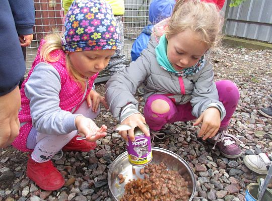 Wycieczka do schroniska dla zwierząt w Małoszycach