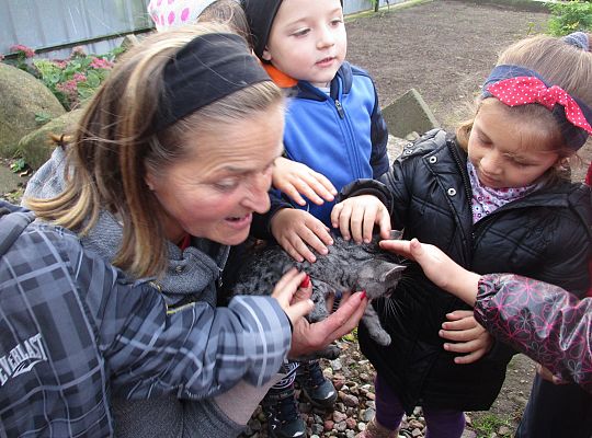 Wycieczka do schroniska dla zwierząt w Małoszycach