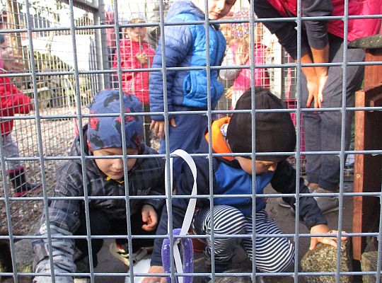 Wycieczka do schroniska dla zwierząt w Małoszycach