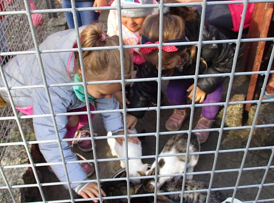 Wycieczka do schroniska dla zwierząt w Małoszycach