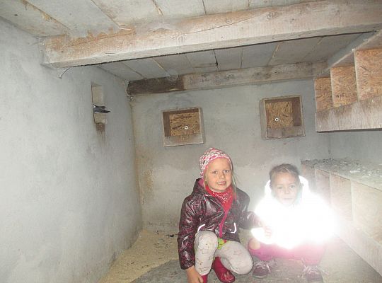 Wycieczka do schroniska dla zwierząt w Małoszycach