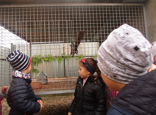 Wycieczka do schroniska dla zwierząt w Małoszycach