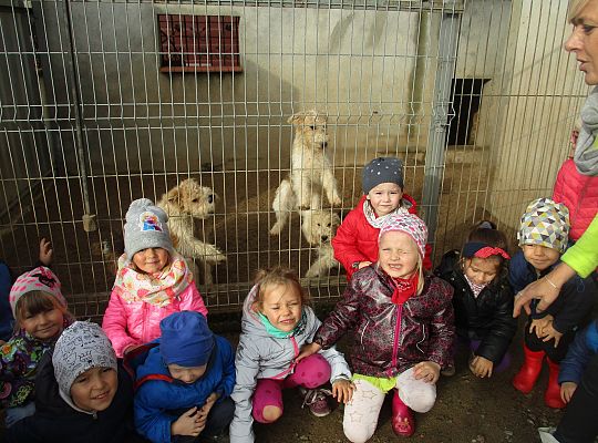 Wycieczka do schroniska dla zwierząt w Małoszycach