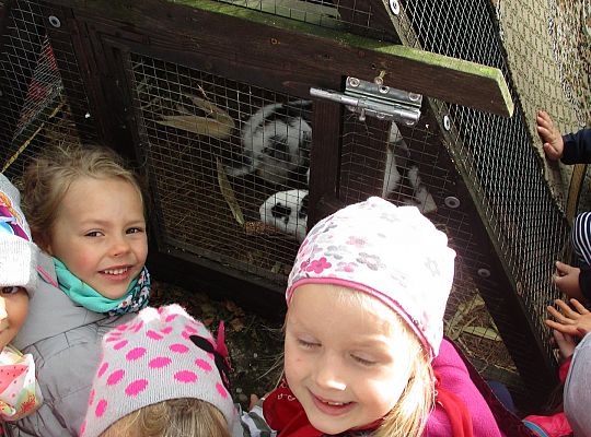 Wycieczka do schroniska dla zwierząt w Małoszycach