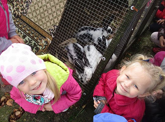 Wycieczka do schroniska dla zwierząt w Małoszycach