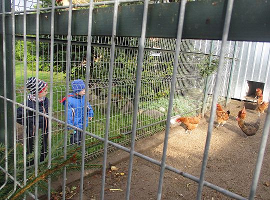 Wycieczka do schroniska dla zwierząt w Małoszycach