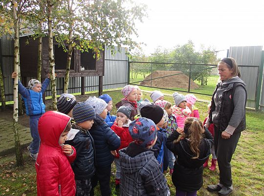 Wycieczka do schroniska dla zwierząt w Małoszycach