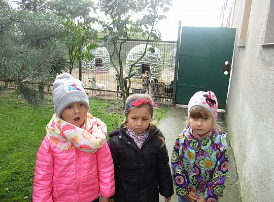 Wycieczka do schroniska dla zwierząt w Małoszycach