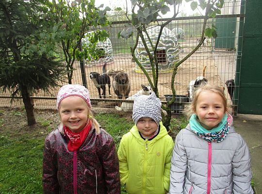 Wycieczka do schroniska dla zwierząt w Małoszycach