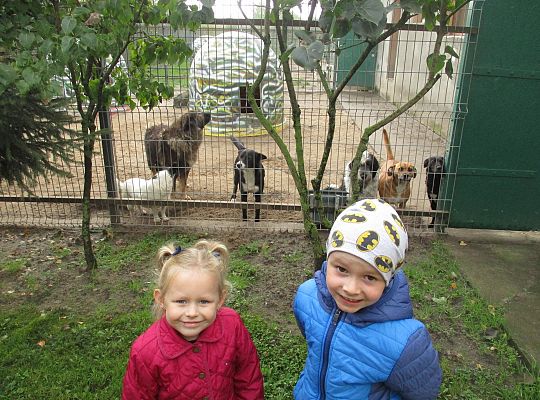 Wycieczka do schroniska dla zwierząt w Małoszycach