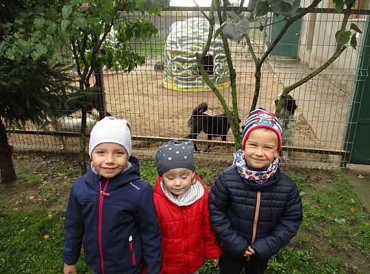 Wycieczka do schroniska dla zwierząt w Małoszycach