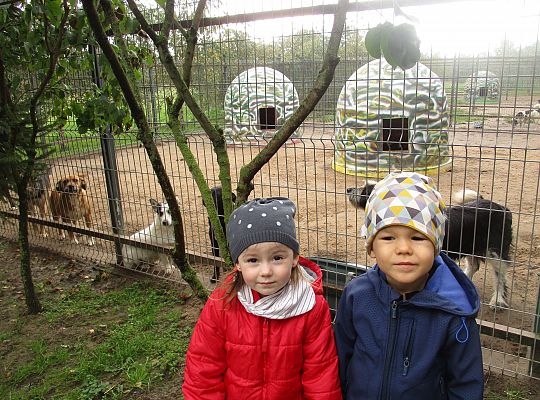 Wycieczka do schroniska dla zwierząt w Małoszycach