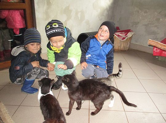 Wycieczka do schroniska dla zwierząt w Małoszycach