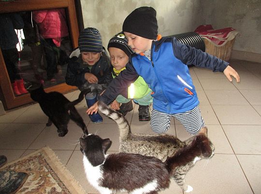 Wycieczka do schroniska dla zwierząt w Małoszycach
