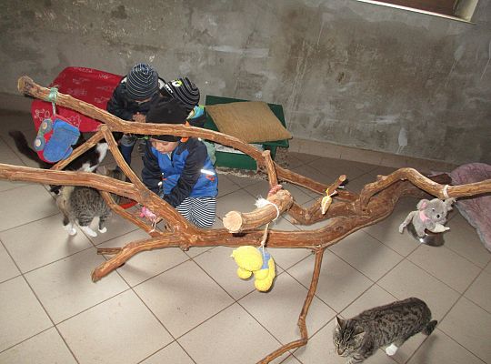 Wycieczka do schroniska dla zwierząt w Małoszycach