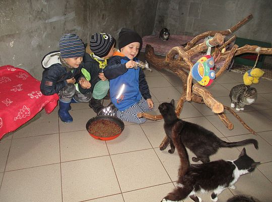Wycieczka do schroniska dla zwierząt w Małoszycach