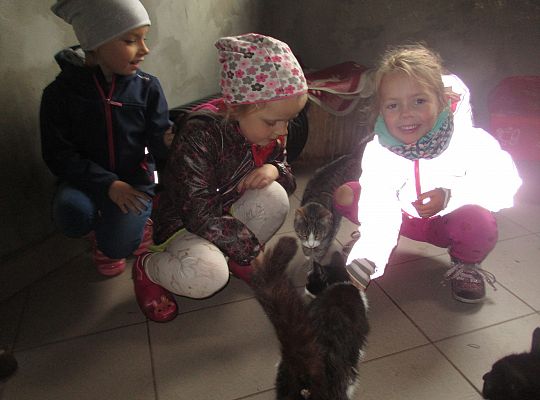 Wycieczka do schroniska dla zwierząt w Małoszycach