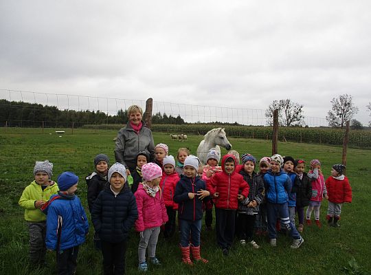 Wycieczka do schroniska dla zwierząt w Małoszycach
