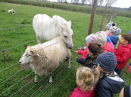Wycieczka do schroniska dla zwierząt w Małoszycach