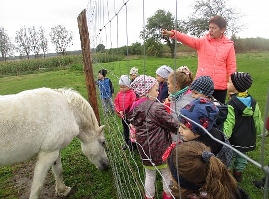 Wycieczka do schroniska dla zwierząt w Małoszycach