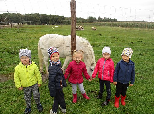 Wycieczka do schroniska dla zwierząt w Małoszycach