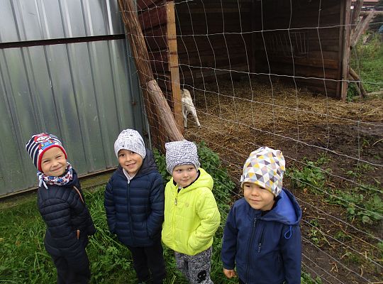 Wycieczka do schroniska dla zwierząt w Małoszycach