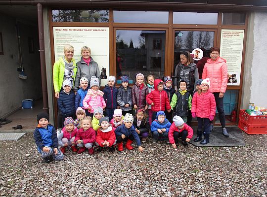 Wycieczka do schroniska dla zwierząt w Małoszycach