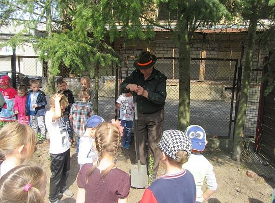 Sadzenie pigwowca wspólnie z myśliwymi