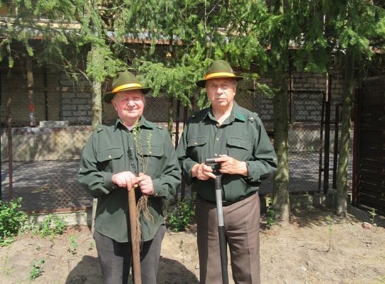 Sadzenie pigwowca wspólnie z myśliwymi