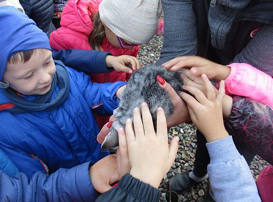 Wycieczka do schroniska dla zwierząt w Małoszycach.