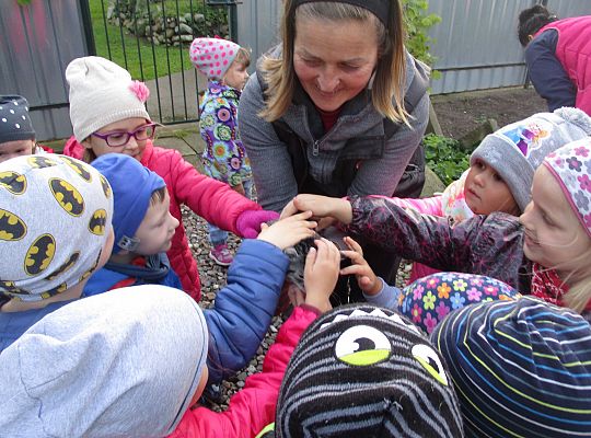 Wycieczka do schroniska dla zwierząt w Małoszycach.