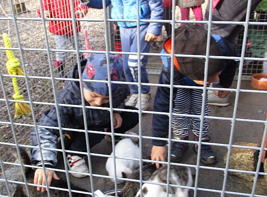 Wycieczka do schroniska dla zwierząt w Małoszycach.