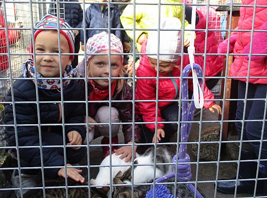 Wycieczka do schroniska dla zwierząt w Małoszycach.