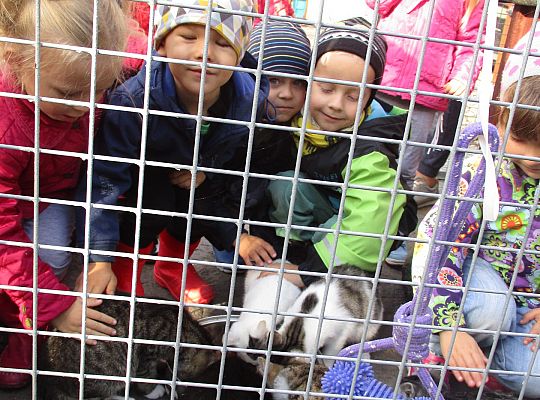 Wycieczka do schroniska dla zwierząt w Małoszycach.