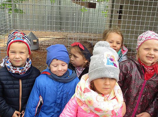 Wycieczka do schroniska dla zwierząt w Małoszycach.