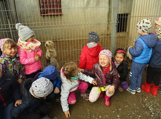 Wycieczka do schroniska dla zwierząt w Małoszycach.