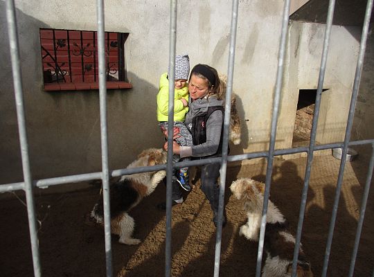 Wycieczka do schroniska dla zwierząt w Małoszycach.